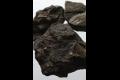 하모리 유적 출토유물(식물화석) 썸네일 이미지