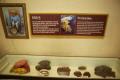 초콜릿박물관 내부 썸네일 이미지