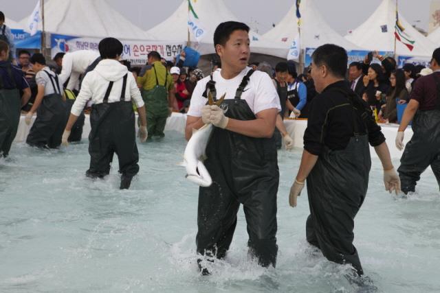 2011년 최남단 방어 축제 체험행사 썸네일 이미지
