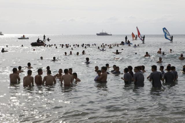 제13회 겨울 바다 펭귄 수영 대회 썸네일 이미지