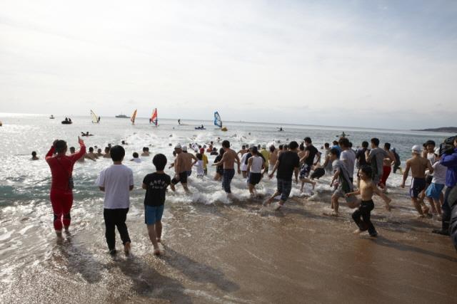 제13회 겨울 바다 펭귄 수영 대회 썸네일 이미지