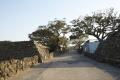 제주 성읍리 느티나무 및 팽나무군 전경 썸네일 이미지