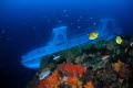 서귀포 잠수함 관광 썸네일 이미지
